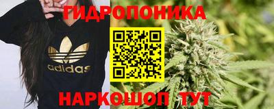 мяу мяу мука Камышлов