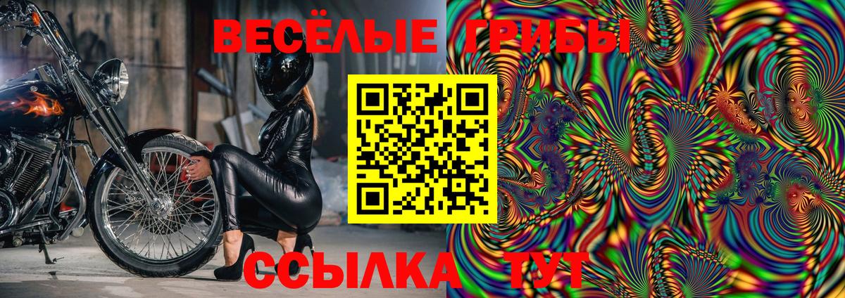 Галлюциногенные грибы ЛСД  Вход с VPN  Галлюциногенные грибы Cubensis  Волгоград 