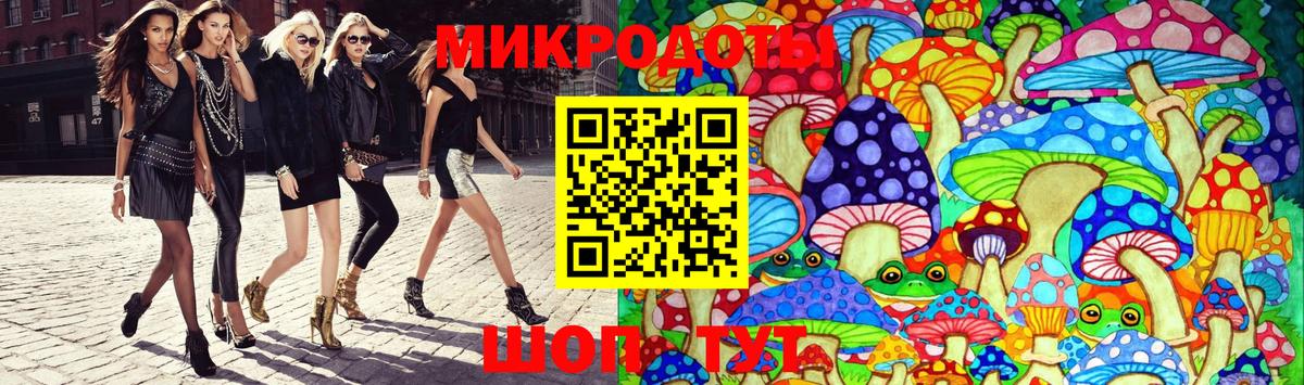 НБОМе Волгоград